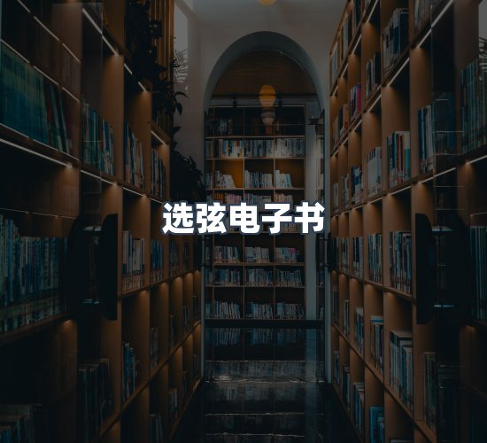 关于选弦电子书